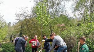 <p>Im Januar musste die 150 Jahre alte Linde in Dittwar nahe dem Friedhof gefällt werden. Nun pflanzten unter musikalischer Begleitung von Bernd Honikel die Verantwortlichen eine neue Linde.</p>