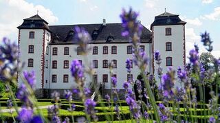 <p>Wasserschloss mit Flair: Die Anlage im unterfränkischen Walkershofen hat den Besitzer gewechselt.</p>