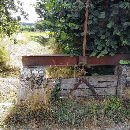 <p>Wiesenwässerung entlang der Tauber: Das Bild zeigt eine der so genannten Fallen oder Sperren in Dittigheim.</p>