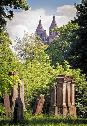 <p>Die Sonderausstellung "Zeitzeugen - Fotografien jüdischer Friedhöfe" wird im Sommer 2016 im Jüdischen Museum gezeigt. Unser Bild zeigt den jüdischen Friedhof in Worms.</p>