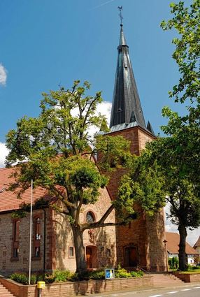 <p>Aus der Auferstehungskirche in Nassig wird morgen der ZDF-Fernsehgottes-dienst live gesendet.</p>
