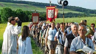 <p>Külsheim ist bereits in Sichtweite - Pfarrer Joachim Seraphin begrüßt die Wallfahrer vor ihrem Eintreffen in der Brunnenstadt.</p>