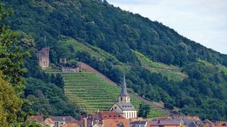 <p>Das hübsche Fachwerkstädtchen Klingenberg mit der Ruine der Clingenburg ist das Ziel der vierten Etappe des Fränkischen Rotwein Wanderwegs, der auf sechs Teilabschnitten 70 Kilometer am Main entlang führt.</p>