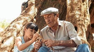 <p>Mächtig sind die Wurzeln des über 2000 Jahre alten Olivenbaums, den Alma und ihr Großvater sehr lieben.</p>