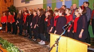 <p>Der Dertinger Chor präsentierte sich stark.</p>