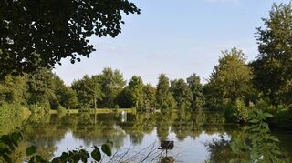 <p>Idyllisch liegt der Heckfelder See inmitten der Natur. Doch seit einiger Zeit plagen den Angelsportverein Lauda als Besitzer massive Probleme mit Bibern. Sie graben lange Röhren in den Damm, der dadurch droht, durchlässig zu werden.</p>