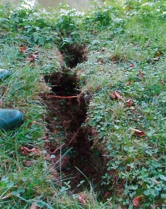 <p>Bis zu zwei Meter grub sich der Biber Röhren in den Damm.</p>