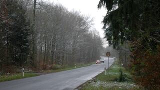 <p>Blick auf die Abteilung "Schöner Busch" im Walldürner Wald.</p>