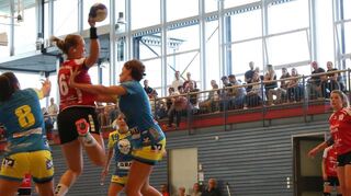 Saisonstart gelungen: Mit dem 22:19 gegen Pforzheim sicherten sich die HG-Damen zwei wichtige Punkte.