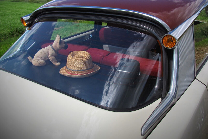 Das sind die peinlichsten Dekos für das Auto - Auto