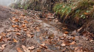 Der Barnholzgraben lag teilweise innerhalb des geplanten Gewerbegebiets „Schöner Busch“. Einschließlich eines zehn Meter breiten Schutzstreifens wird das Gewässer zweiter Ordnung nun von jeglicher Bebauung freigehalten.