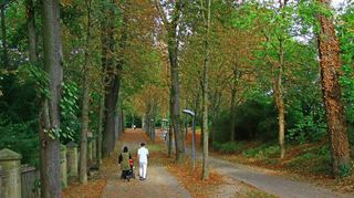Zwischen der Allee, die von der Kapuzinerstraße hinunter zum „Hundedenkmal“ führt, und der Igersheimer Straße, befand sich früher der zusammenhängende untere und obere See, der trockengelegt und aufgefüllt wurde.