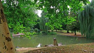 Der Bad Mergentheimer Schlosspark bildet zusammen mit dem Deutschordens-schloss ein seit Jahrhunderten bestehendes Denkmalensemble mit kulturhistorischer Bedeutung weit über die Landesgrenzen hinaus.
