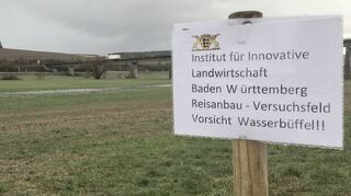 Das Wasser steht auf der Wiese von Herbert Kieser.