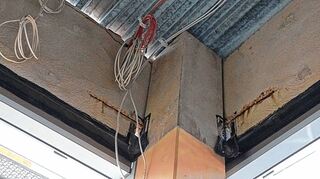 <p>Erst nach der Zerstörung der intakten Betonfassade stellte man jetzt fest, dass das Eisen darunter verrostet ist.</p>
