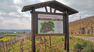 <p>Das Städtische Rebgut am Edelberg bietet sich mit dem neu angelegten Weinlehrpfad zu jeder Jahreszeit für einen informativen Spaziergang an.</p>