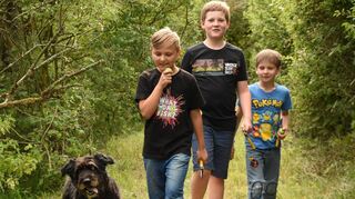 Hündin Lumi, Phil Engert, Jonne und Matti Beierstettel (von links) auf dem Grünsfelder Weg, den sie nicht nur freigelegt haben, sondern den sie auch pflegen.