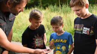 Die mächtigen Zangen des Hirschkäfers auf Hendrik Beierstettels Hand schauen sich Phil, Mattio und Jonne interessiert an.