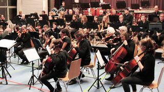 Mehrere Ensembles aus der Region gestalteten aus Anlass des 30-jährigen Bestehens der Musikschule Bauland ein gelungenes Gemeinschaftskonzert in der Seckachtalhalle.