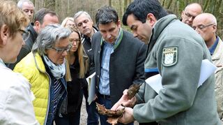 Der Wald leidet. Darüber wurde der Kreuzwertheimer Gemeinderat informiert.