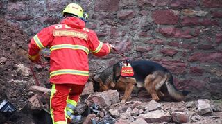 Die DLRG suchte mit einem Hund der Rettungshundestaffel nach Verschütteten.
