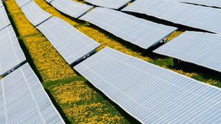 Als erste Photovoltaik-Freiflächenanlage (Symbolbild) in der Gesamtgemeinde Königheim soll der „Solarpark Weikerstetten“ gebaut werden.