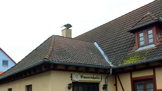 Die Pläne für die Elpersheimer Taubertalhalle wurden 2019 vorgestellt, doch auch die Schäftersheimer Bauernhalle soll endlich fit gemacht werden.