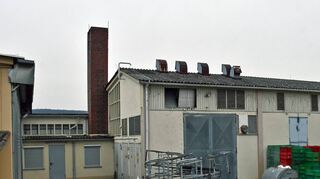 Nach der Ablehnung der Beschwerde über die Einstellung der Verfahren gegen drei Amtstierärzte, die in den Schlachthof-Skandal von 2018 verwickelt waren, hat der Verein „Soko Tierschutz“ nun Anzeige gegen den zuständigen Oberstaatsanwalt erstattet.