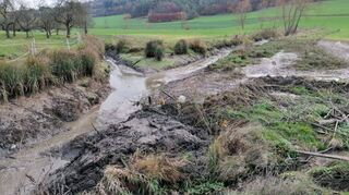 Das Biberbauwerk ist zerstört, der See verschwunden und das Bächle fließt wieder wie früher.