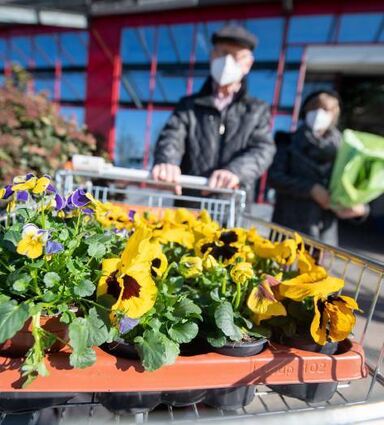Baumärkte und Gartencenter dürfen seit Montag wieder öffnen.