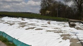 Weiße Planen vor dem neu ausgewiesenen Baugebiet „Marienhöhe“ in Buchen sollen verhindern, dass sich dort Eidechsen ansiedeln.