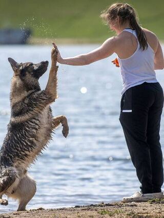 High-Five für eine funktionierende „Partnerschaft“.