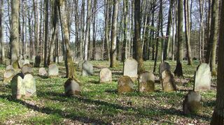 Eine besondere Stimmung geht vom Jüdischen Friedhof in Wenkheim aus.
