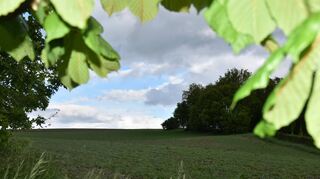 Nach reger Diskussion über die Bauplatzvergabekriterien im Baugebiet „Steinäcker rechts“ in Adelsheim zog es der Gemeinderat einhellig vor, den Grundsatzbeschluss zu vertagen.
