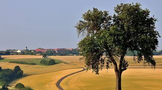 Rund um Krensheim mit seinen Muschelkalk-Steinbrüchen erstreckt sich eine offene und von Landwirtschaft geprägte Landschaft.