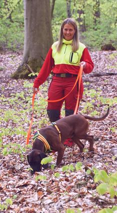 Astrid Hemmrich und ihr Hund Zoran demonstrieren im Tannenwald oberhalb von Tauberbischofsheim eine Nachsuche – die unter realen Bedingungen natürlich nicht ganz so entspannt abläuft.