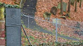 Der jüdische Friedhof in Wertheim wird ab März nächsten Jahres saniert.