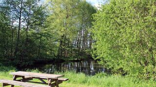 Idylle am Teich – die Ruhebank lädt bei Radtouren oder Spaziergängen zur Entschleunigung ein.