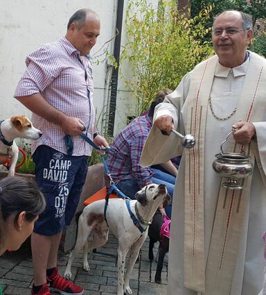 Dekan Gerhard Hauk, gleichzeitig Stadtpfarrer von Tauberbischofsheim, hat frühzeitig angekündigt, dass er im September kommenden Jahres in den Ruhestand gehen wird. Die Diözese will rechtzeitig die Weichen stellen, wie es weitergeht, und hat die Stelle bereits ausgeschrieben.
