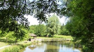 Eine idyllische Seenlandschaft ist mitten in Boxberg entstanden.