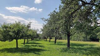 Eine Stellungnahme zur ersten Änderung des Einheitlichen Regionalplans der Region Rhein-Neckar hat die „Bürgerinitiative Walldürn – für Mensch und Natur“ abgegeben. Walldürner Bürger haben das Ganze laut Bürgerinitiative mit persönlichen Schreiben ergänzt.