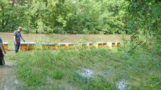 Der Tierrettungseinsatz nahe der Wolfgangsbrücke fand unter schwierigen Bedingungen statt.