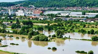 Tauberbischofsheimer Seenlandschaft: Die renaturierten Tauberwiesen mit dem Industriegebiet im Hintergrund.