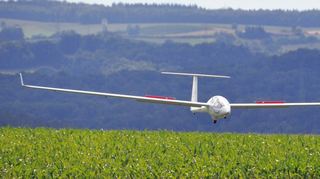 Einen solchen Großsegler, eine DG 1001, kann man beim Flug-Modell-Sport-Club Adelsheim ebenfalls am Himmel sehen.