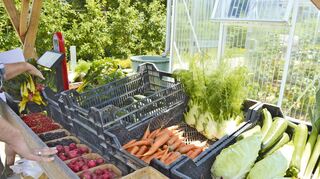 Die Firma VS Vereinigte Spezialmöbelfabriken in Tauberbischofsheim baut auch Bio-Gemüse für die eigene Betriebskantine an und bietet den Mitarbeitern zusätzlich vom Frühsommer bis zum Herbst einen wöchentlichen Markttag.