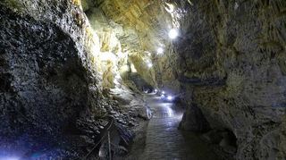 Unvergleichliche Naturschönheit erlebt man in der Eberstadter Tropfsteinhöhle im Buchener Stadtteil Eberstadt. Sie wurde 1973 bei Sprengungen entdeckt. Im Rahmen von Führungen kann man die Höhle besichtigen.