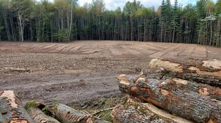 Die Vorbereitungen für den Bau von Windkraftanlagen auf dem Welscheberg nordwestlich von Hainstadt sind abgeschlossen. In den vergangenen zwei Wochen wurden an den vier Standorten im Wald Bäume gefällt.