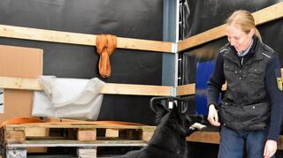 Im erfolgreichen Einsatz: Polizeikommissarin Natalie Hesse mit „Spürnase“ Crisu, einem deutschen Schäferhund, der auf die Drogensuche spezialisiert ist.