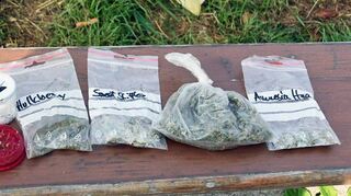 Ein gutes Näschen bewiesen die Beamten einer Zivilstreife bei einer mobilen Kontrolle auf der A 81. In einem Montagefahrzeug stellten sie mehrere Tütchen und Behälter mit Marihuana, Cannabis und Amphetaminen (Bild) sicher. Nachdem der Besitzer der Drogen bereits vorbestraft ist, kommt auf ihn nun ein Bußgeld im vierstelligen Bereich zu.