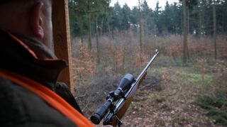 Ein Jäger sitzt auf einem Hochsitz. Zu seinen Aufgaben zählt neben der Hege auch das Gleichgewicht in der Tierwelt zu wahren, um größeren Schaden von der Natur abzuwenden. Laut einer Statistik des Deutschen Jagdverbands waren im Jagdjahr 2019/2020 über 397 000 Personen in Deutschland in Besitz eines Jagdscheins.